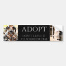 Suche nach tieradoption Katze