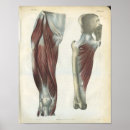 Suche nach leine poster Vintag