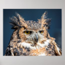 Suche nach portrait poster Vögel