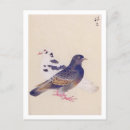 Suche nach vintage tauben postkarten Vogelvogel