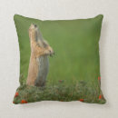 Suche nach krankheiten kissen Höhnisch