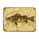 Suche nach stange magnete Fische