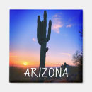 Suche nach saguaro cactus magnete Landschaft