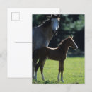 Suche nach backlit postkarten Bob langrish
