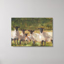 Suche nach lamm leinwandbilder Tiere