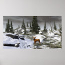 Suche nach fichte poster Schnee