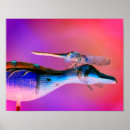 Suche nach drachenfliegen poster Natur