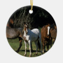 Suche nach mein mustang ornamente Bob langrish