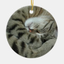 Suche nach schlaf ornamente Träume