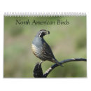 Suche nach geflügel kalender Vögel