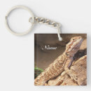 Suche nach geckos schlüsselanhänger Natur
