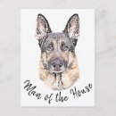 Suche nach deutscher schäferhund postkarten Für haustiere