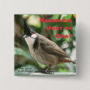 Suche nach vektor buttons Jede person