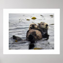 Suche nach seeotter poster Monterey