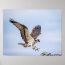 Suche nach landung poster Natur