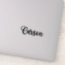 Suche nach carson Typografie