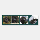 Suche nach primat autoaufkleber Tiere