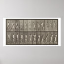 Suche nach muybridge poster From