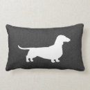 Suche nach wursthund kissen Dachshund