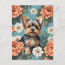 Suche nach yorkshire terrier postkarten Blume
