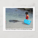 Suche nach honu postkarten Hawaii