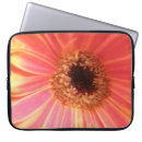 Suche nach roter gerbera hüllen Griechen
