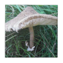 Suche nach pilze fliesen Keramikfliese