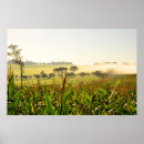 Suche nach paraná poster 2015