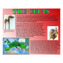 Suche nach schotte poster Landschaft