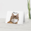 Suche nach maine coon karten Tier