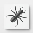 Suche nach ameise fotoplatten Insekt