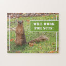 Suche nach nuss puzzle Für alle