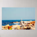 Suche nach seegras poster Wasser
