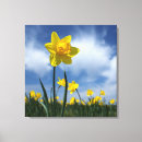 Suche nach glückliche blume leinwandbilder Blau