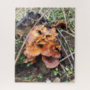 Suche nach pilz puzzle Wald