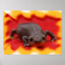 Suche nach neugeborener poster Natur