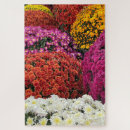 Suche nach chrysantheme puzzle Natur