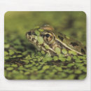 Suche nach rio mousepads Natur