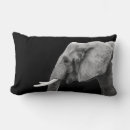 Suche nach afrikanischer elefant kissen Für alle