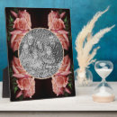 Suche nach rosen fotoplatten Blume