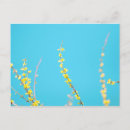 Suche nach forsythia postkarten Gelb