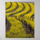 Suche nach napa poster Usa