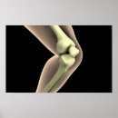 Suche nach menschlicher knochen poster Illustration