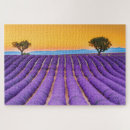 Suche nach lavendel blume puzzle Rätsel