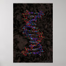 Suche nach genom poster Genetik