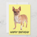 Suche nach niedlicher chihuahua karten Lustig