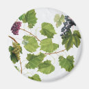 Suche nach griechische insel magnete Vintag