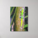 Suche nach eidechsen leinwandbilder Gecko