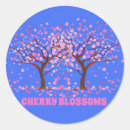 Suche nach rosa kirschbaum aufkleber Kirschblüten