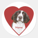 Suche nach englischer springer spaniel aufkleber Für alle